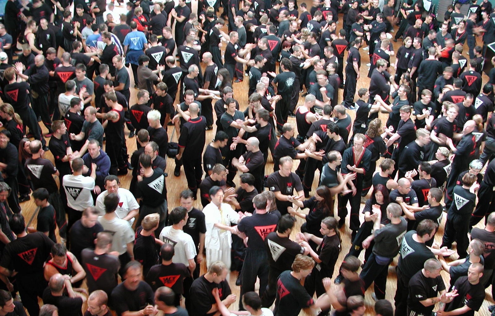 梁挺宗師於木人樁前展示招式